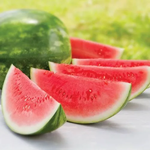 Seedless watermelon