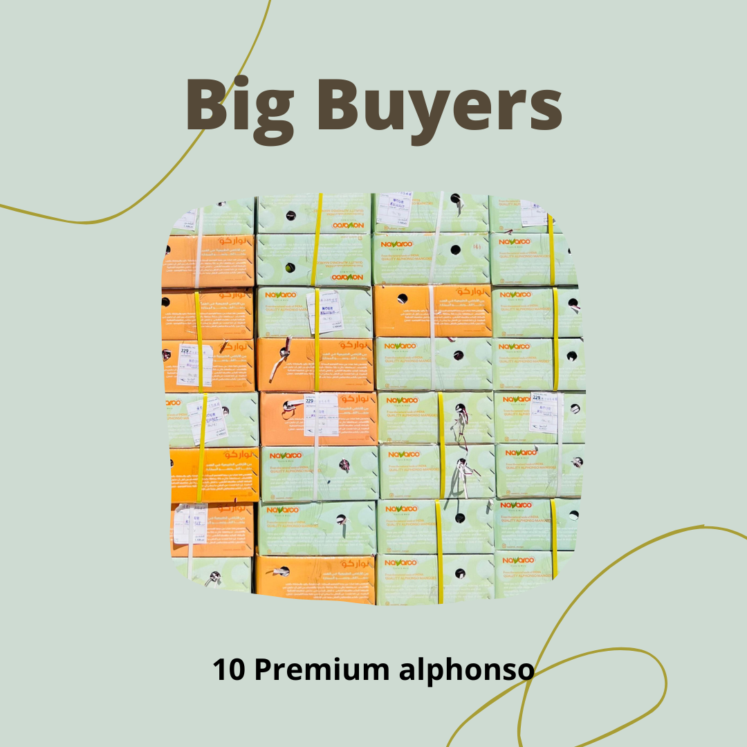 Big Buyers Medium