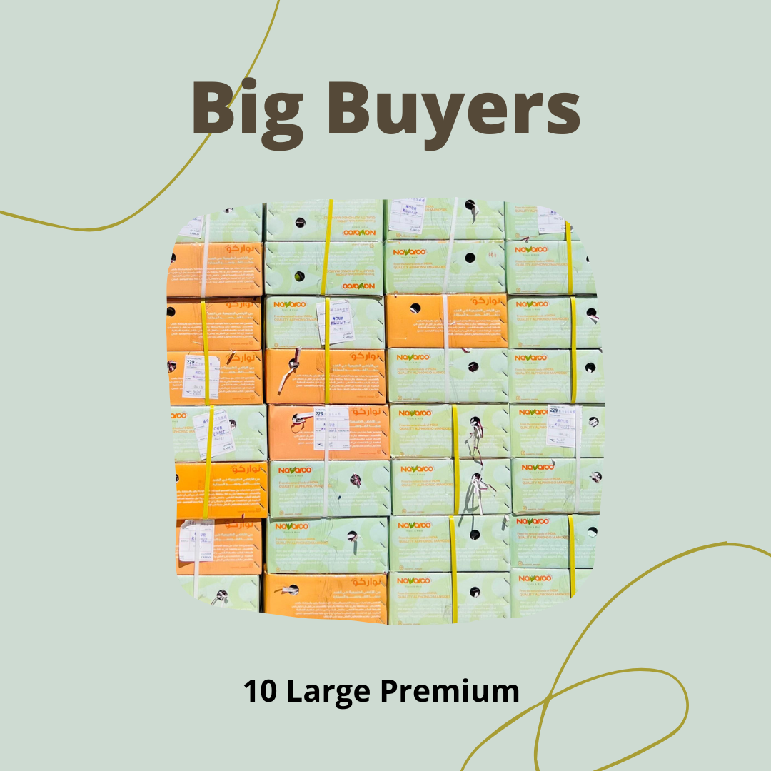 Big Buyers Large