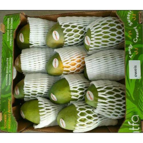 Premium Oweis